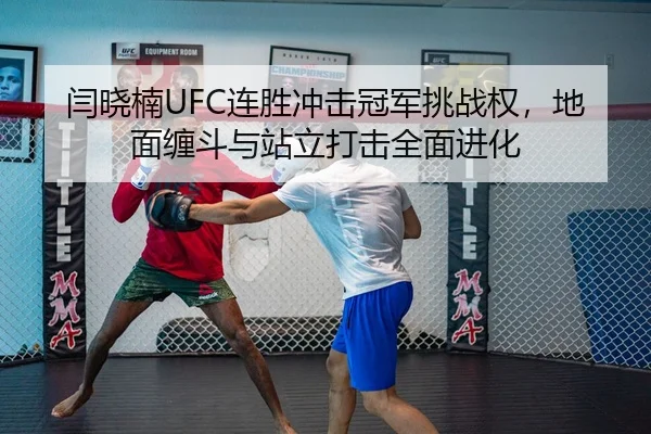 yan-xiao-nan-lian-sheng-chong-ji-guan-jun-tiao-zhan-quan-di-mian-chan-dou-yu-zhan-li-da-ji-quan-mian-jin-hua-3-292.jpg