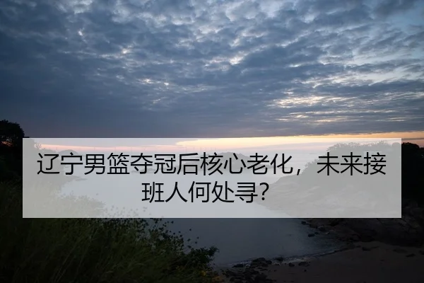 liao-ning-nan-lan-duo-guan-hou-he-xin-lao-hua-wei-lai-jie-ban-ren-he-chu-xun-2-166.jpg