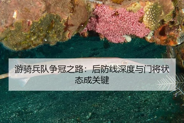 you-qi-bing-dui-zheng-guan-zhi-lu-hou-fang-xian-shen-du-yu-men-jiang-zhuang-tai-cheng-guan-jian-2-180.jpg