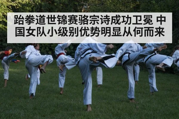 taekwondo kick action